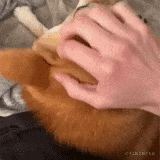 你以为你还小哇的个人资料头像