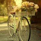 段创业的个人资料头像