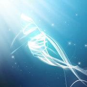 Pig小奇的个人资料头像