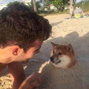 undefined的个人资料头像