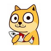 不流泪的onion的个人资料头像