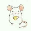 老老老鼠的个人资料头像