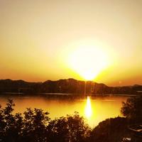 睿智卡梅伦8V0头像