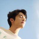 昨夜太平长安8的个人资料头像