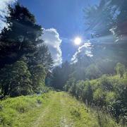 FengRui的个人资料头像