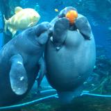 用户5308396680999头像