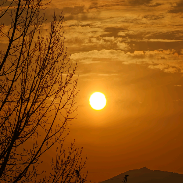 小武自驾游头像