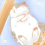 贝拉老公月光加冕的个人资料头像