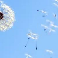 用户877985036192头像