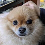 Lucyjack的个人资料头像