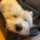 用户3476778859315头像