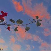 摸摸我的小肚腩的个人资料头像
