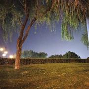 zbjoy的个人资料头像