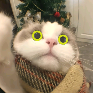 姚思楷头像