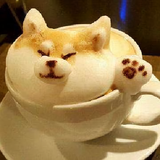 kaiwkx头像
