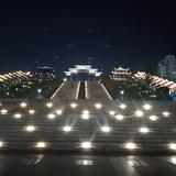 龙子3827头像