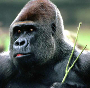 故事还长0o的个人资料头像