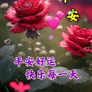 春天的太阳头像