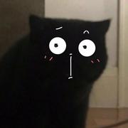 Cpp635的个人资料头像