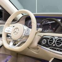 清闲的艺术家Sut头像