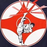 欢快西柚HFo头像