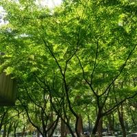 万水千山知他故宫何处头像