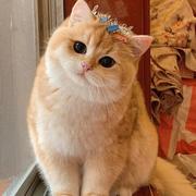 旧事820的个人资料头像