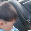 小贝壳小姐姐头像