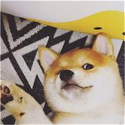 nop的个人资料头像