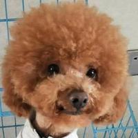 用户7531116935877头像