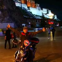 流浪的大只佬头像