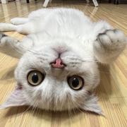 Agony693的个人资料头像