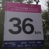 什么都喜欢一点头像