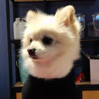 Lee丶小郎君头像