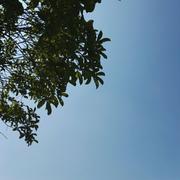 画江湖之许大厨的个人资料头像