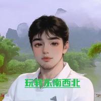 玩转东南西北头像
