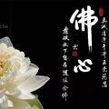 清风明月60716头像