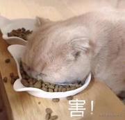 儿梦的个人资料头像