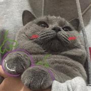 用户8350408886543的个人资料头像