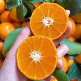 鲜艳的橘子639头像