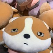 ImYourSunshine的个人资料头像