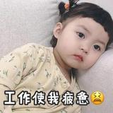 孤傲的风狼头像