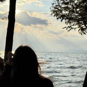 韭韭韭的个人资料头像