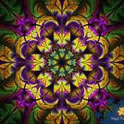 Dana893的个人资料头像