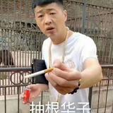 简单荷叶7T9头像