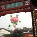 甲鱼是老鳖头像