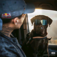 用户4250209550323头像