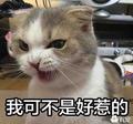 还剩下什么了头像