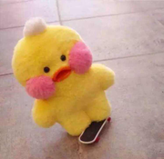 Sunny就是我26968的个人资料头像
