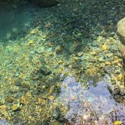 新春的个人资料头像